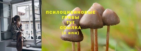 гидра Верхний Тагил